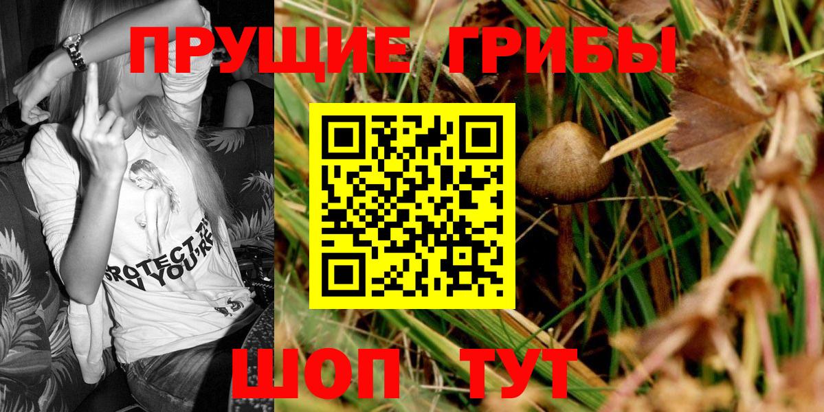 Псилоцибиновые грибы ЛСД Сорочинск