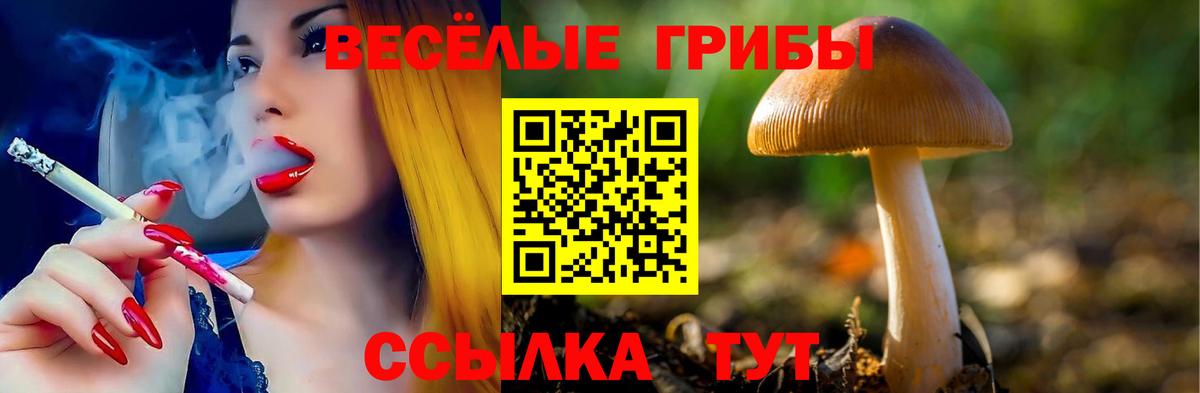 что такое   Псилоцибиновые грибы Cubensis  Вход с VPN  Сорочинск 